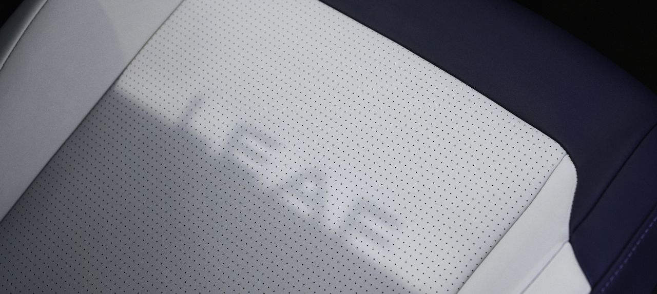 Skygge av Leaf fra det dimmbare taket