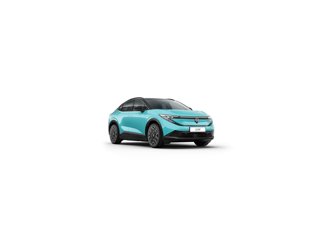 Vue intégrale de la Nissan LEAF